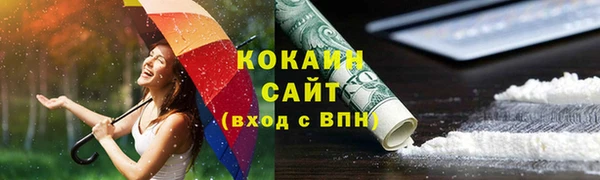 дмт Протвино